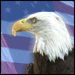 Eagle Against Flag